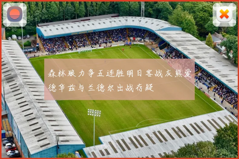 森林狼力争五连胜明日客战灰熊爱德华兹与兰德尔出战存疑