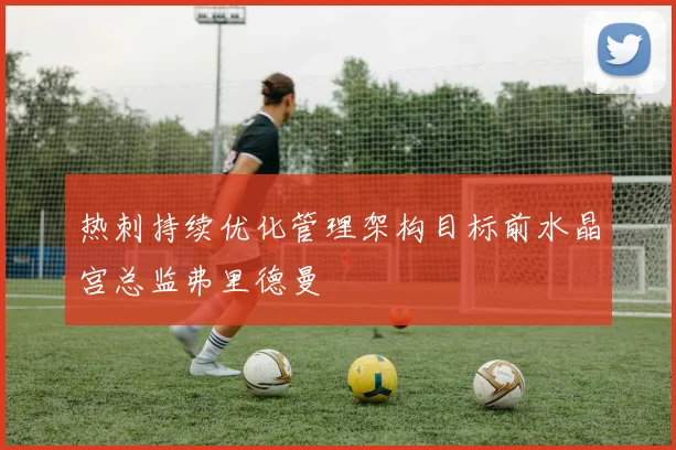 热刺持续优化管理架构目标前水晶宫总监弗里德曼