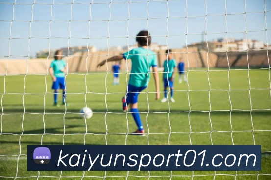 开云体育平台生态图