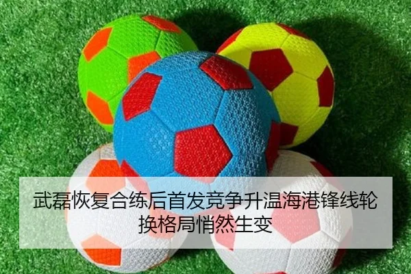 武磊恢复合练后首发竞争升温海港锋线轮换格局悄然生变 | kaiyun